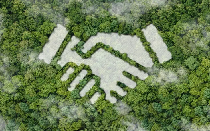 Nouveau Pacte Environnemental : Croissance Saine Environnement appelle à un Conseil Présidentiel en Urgence